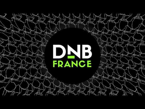 DNB FRANCE // French Plates 2017 Teaser