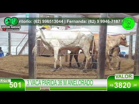 CENTRAL LEILÕES -LEOPOLDO DE BULHÕES - ARREMATE