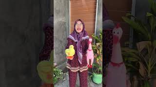 Download lagu Chicken and duck laughing sounds #funny #shorts mp3
