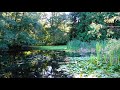 La Guitare De Monet by Andre Feriante  (relax - study - work - peaceful music)