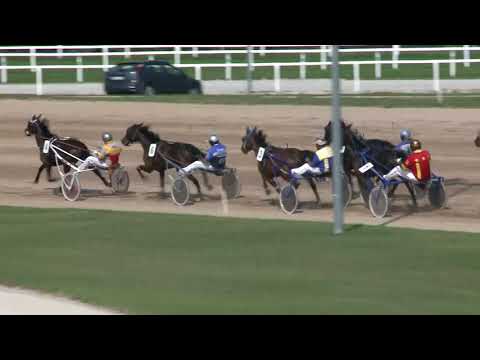 2018.09.08. 02. futam - ELEGANT YANKEE DÍJ