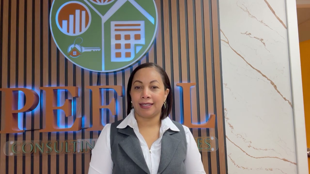Pefel Consulting Services (Español)