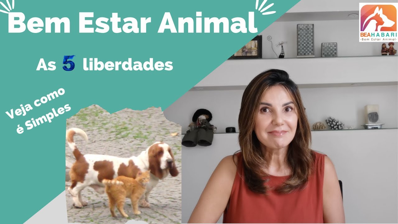 Bem Estar Animal, as 5 Liberdades, veja como é simples.