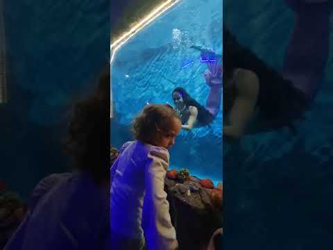 Lavínia no Aquário de São Paulo 🐟