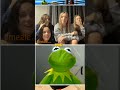 Don T Mess With Kermit The Frog Kermit Omegle Ometv Lollipopcandy Comedy