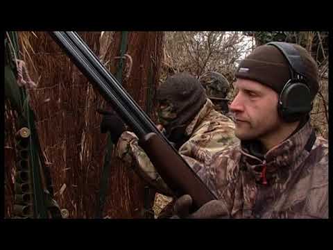 Chasses modernes du migrateur (oies et canards) 3ème partie