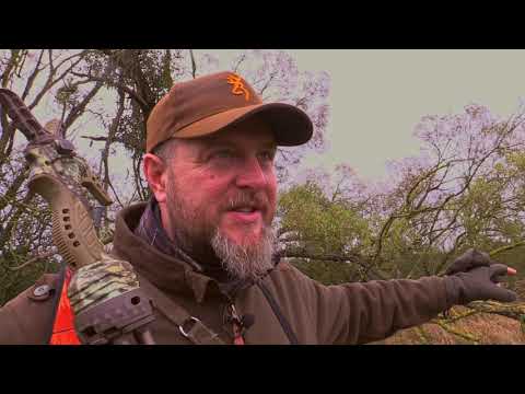 Darz Bór odc 359 - Sarni maraton