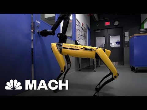 This New Robot Can Hold The Door For Its Friend | Mach | NBC News