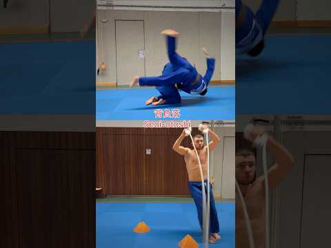 Uchi-komi combination of 8 techniques for timing training #judo #ashiwaza #judotechniques #footwork