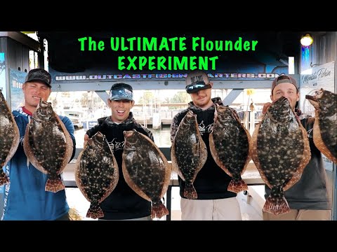 The "ULTIMATE" Flounder Experiment | 4 Methods | What Works BEST!