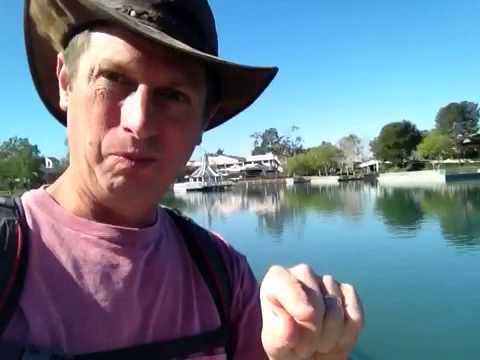 🗽 A Helping Hand from Japan - LylesBrother - Return to the USA