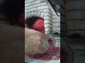 Pizza Calabresa E Mussarela Montagem Shortes