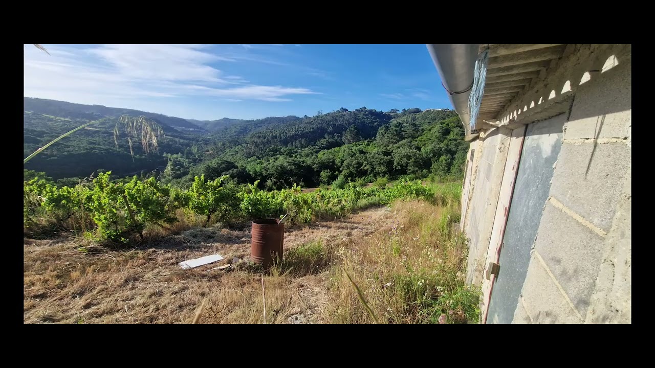 Vídeo do imóvel