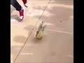 SPONGEBOB NOOOO