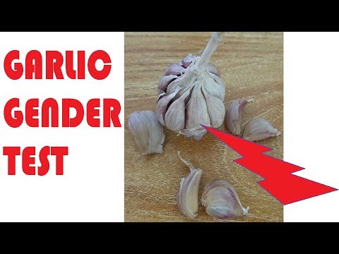 download lagu mp3 mp4 Tips To Find Gender Of Baby, download lagu Tips To Find Gender Of Baby gratis, unduh video klip Tips To Find Gender Of Baby