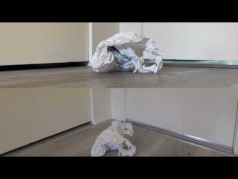 Unfurl (2023) Max Devereaux Short Film