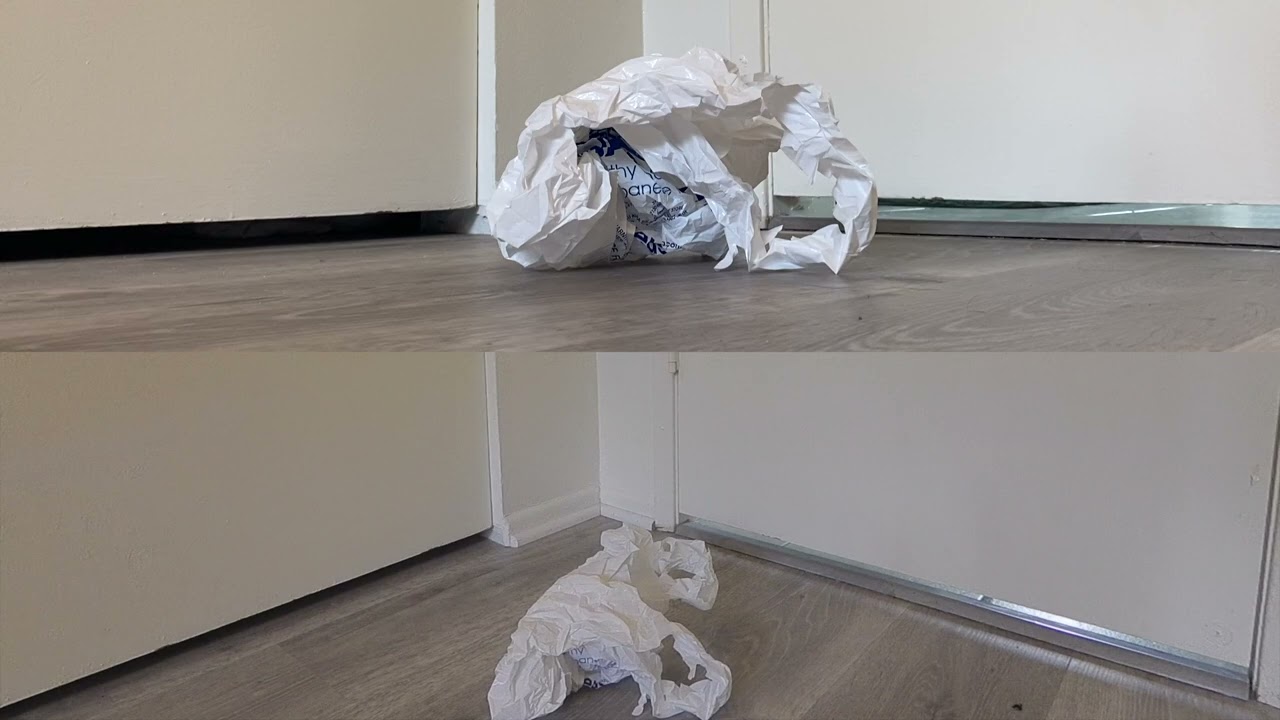 Unfurl (2023) Max Devereaux Short Film