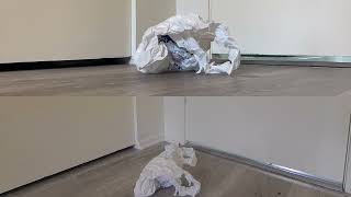 Unfurl (2023) Max Devereaux Short Film