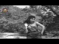 0695 Manushulumamathalu Neevuyedurugaunnavu