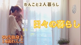 日々の暮らし【犬と2人暮らし】【アラフィフ独身と14歳わんこ】