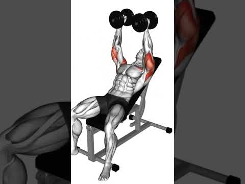 EVERY TRAINING PLAN NEEDS THESE CHEST EXERCISES #musclebuildingtips #trainingtips #trainingplan
