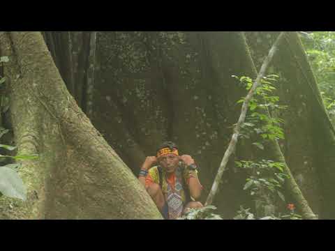 Txana Txanu Huni Kuin - Rezo sagrado Kayatibu aos pés da Samauma