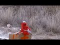 Rip Elmo