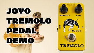 Video thumbnail for Joyo Tremolo Pedal Demo - NO TALKING by Sandy Ridge Music