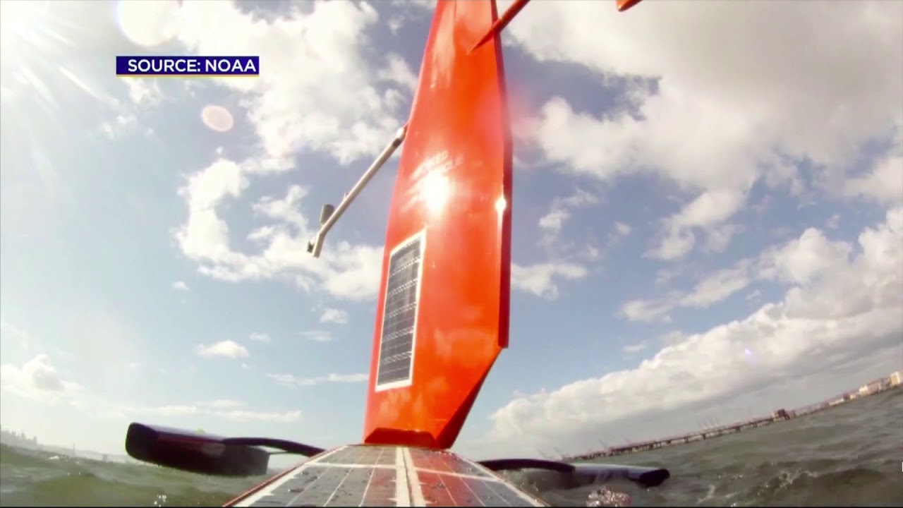 Saildrone in action