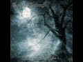 Grave Flowers - Fear of Future