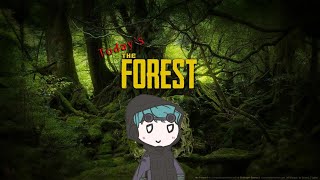 02 | これはどうぶつの森では？ほのぼの森散歩。 | THE FOREST