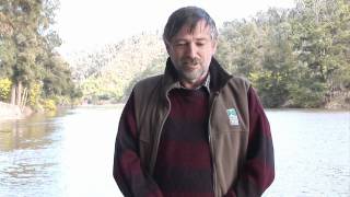 preview picture of video 'True Tales of the trout Cod - Central Murray Part 1 HD.wmv'