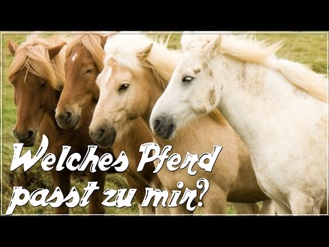 Welches Pferd passt zu mir?  ♥ Anita Girlietainment