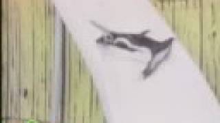 Sesame Street: Penguins 1-20