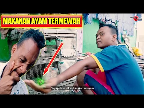 komedi-maumere-makanan-ayam-sketsa-komedi-part24-video-lucu-maumere