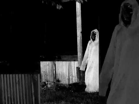 👹😜 #Horror #video #Entertainment #funny #comedy (247) #ghostly #viralvideo #yuotubeshorts