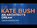Kate Bush - An Architect's Dream (Live in London, 2014) - Official Audio