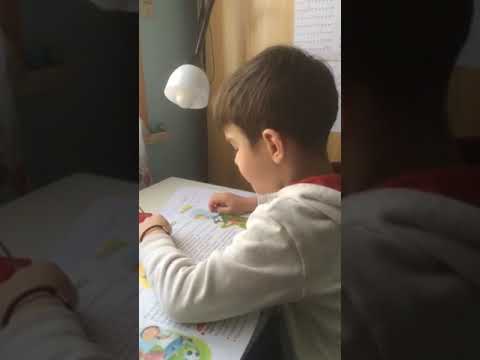 Artemii sta facendo i compiti