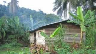 RICHARD BONA - kalabancoro - Dipita