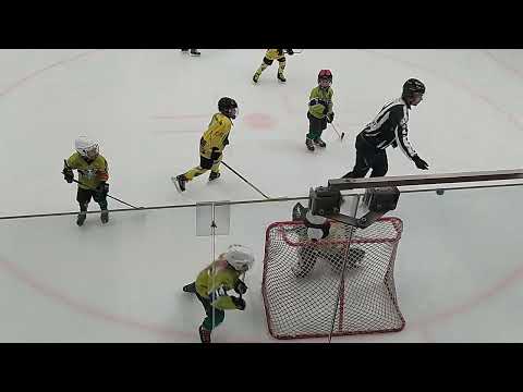 2023.03.12. Veszprém U8 sárga Vua Pandák - Ajkai Óriások 2.