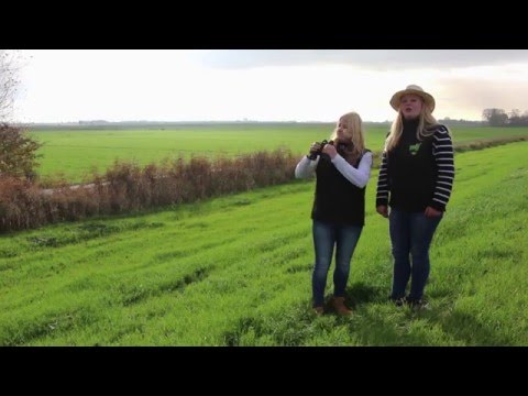 Das Schönste bei uns in Niedersachsen... - Clip 2 "Besuch" / DLT 2016