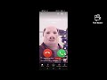 John Pork Is Calling Sound Effect