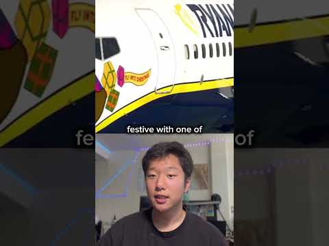 Strangest official airline liveries? #airplane #airlines #aviationgeek #aviation #aircraft