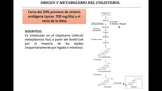 Dislipemias (Parte 1)
