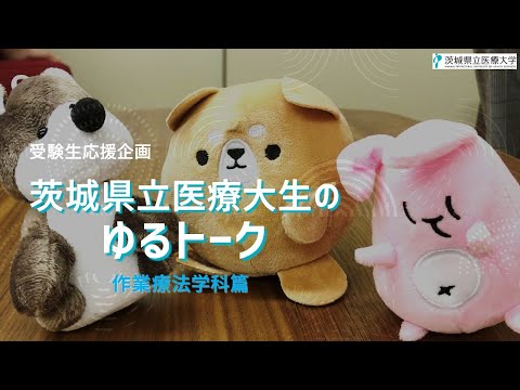 【受験生応援企画】在学生がゆる～く雑談しています－作業療法学科篇