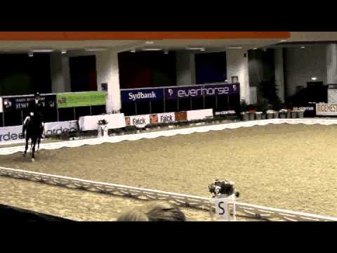 Sezuan 2013 October YH Championship preliminary round