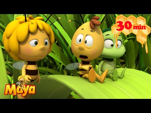 🎨 The meadow gets painted?! What’s going on?! - Maya the Bee🐝🍯🐝 - FULL COMPILATION