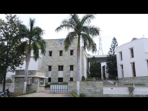 YMPL corporate video 2025