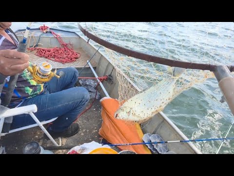 Pescaria em Planura mg pesca de curimba