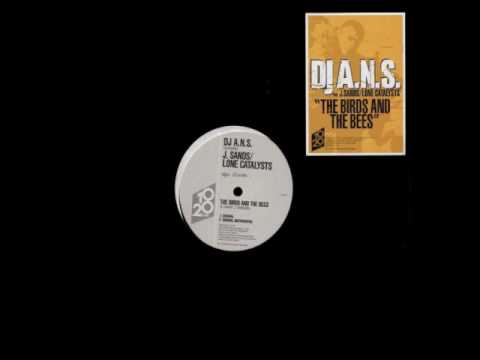 DJ A.N.S. The Birds And The Bees / J. Sands